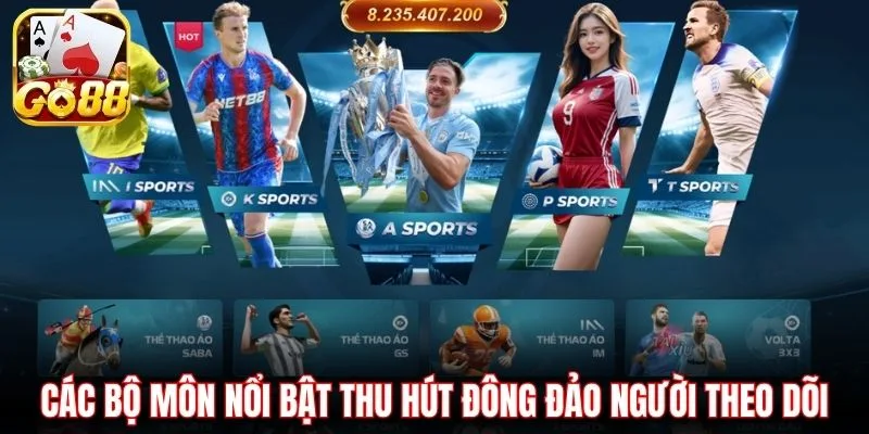 Các bộ môn nổi bật thu hút đông đảo người theo dõi