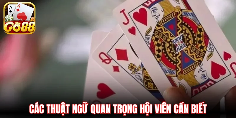 Các thuật ngữ quan trọng hội viên cần biết