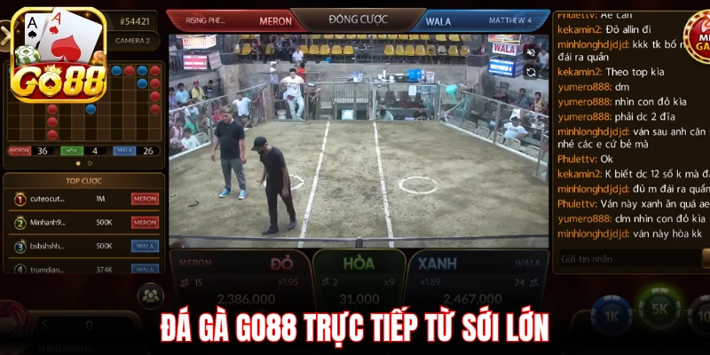 Đá gà Go88 trực tiếp từ sới lớn