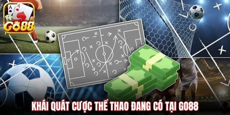 Khái quát cược thể thao đang có tại Go88