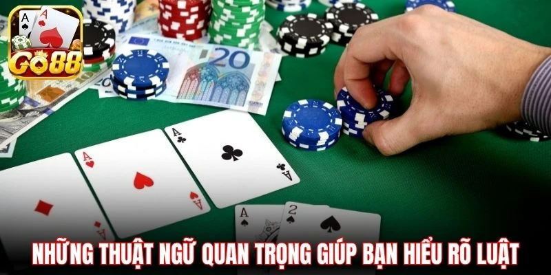 Những thuật ngữ quan trọng giúp bạn hiểu rõ luật